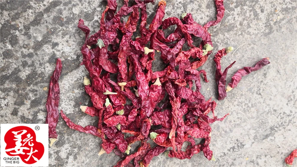 Hot Spice Air Dried Xian Chili