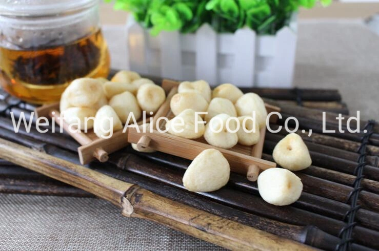 Vacuum Fried Foods Vf Garlic