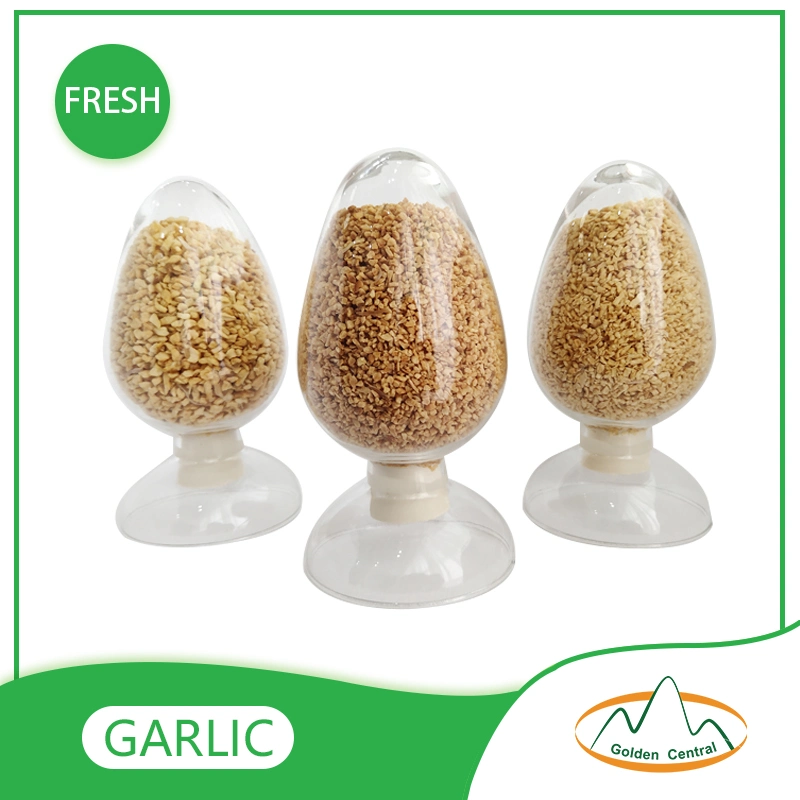 Import Ajo Granulado Chino Garlic Granules for Home Cooking