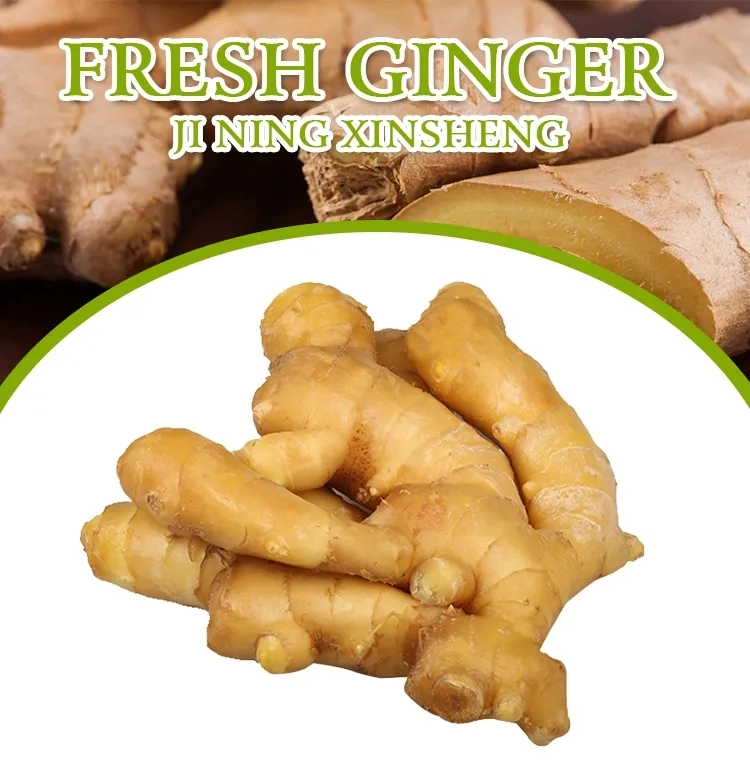 100% Natural High Quality Pure Dry Ginger Powder Organic Ground Ginger Organic Fresh Ginger for Export From China