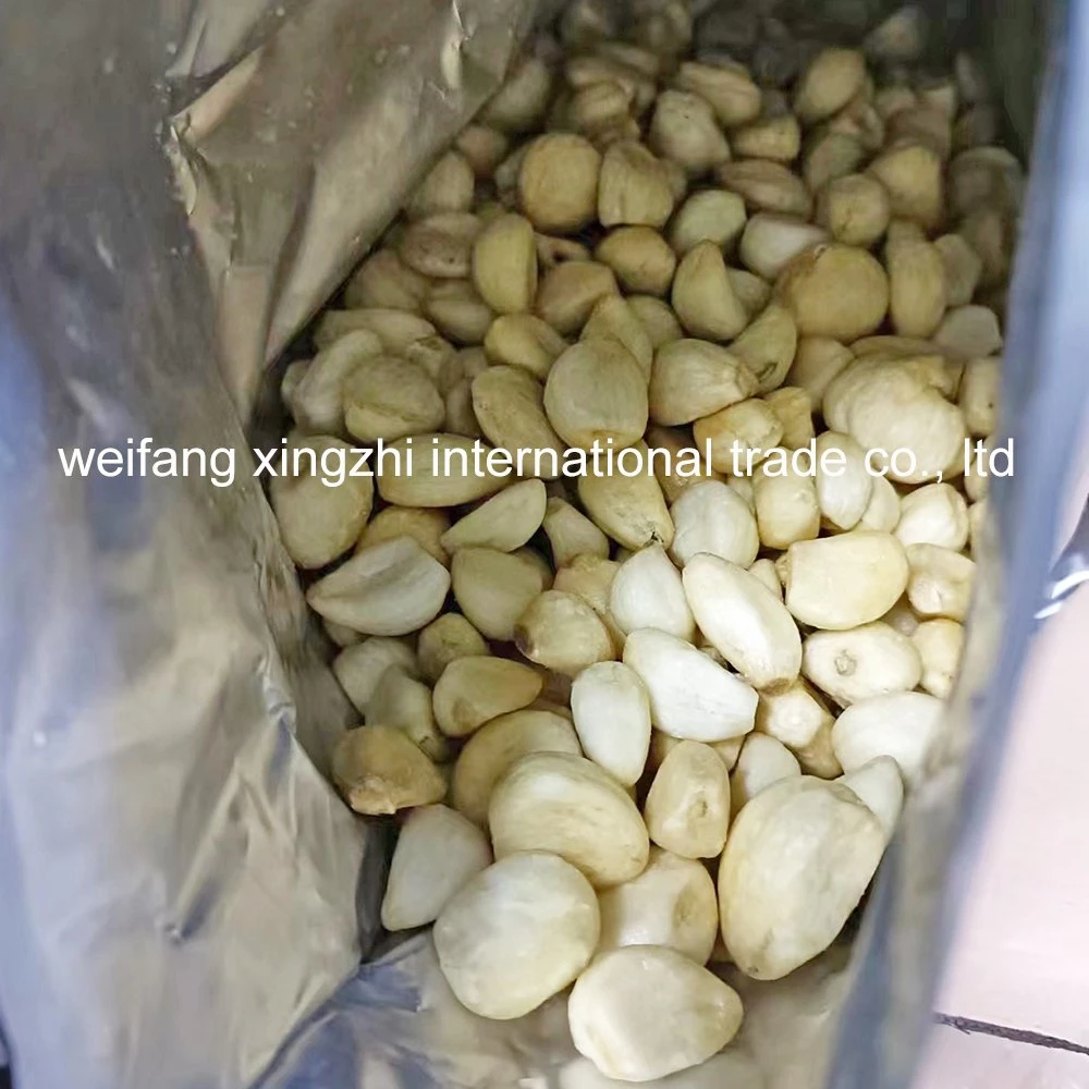 Palm Oil Vacuum Fried Garlic Vf Garlic