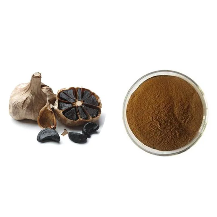 Chinese First-Class Black Garlic Natural Organic Black Garlic Extract Powder Powder Powder