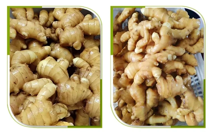 100% Natural High Quality Pure Dry Ginger Powder Organic Ground Ginger Organic Fresh Ginger for Export From China