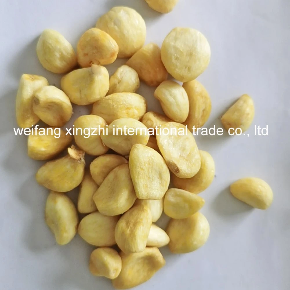 Low Temperature vacuum Fried Vegetable Snacks Vf Garlic