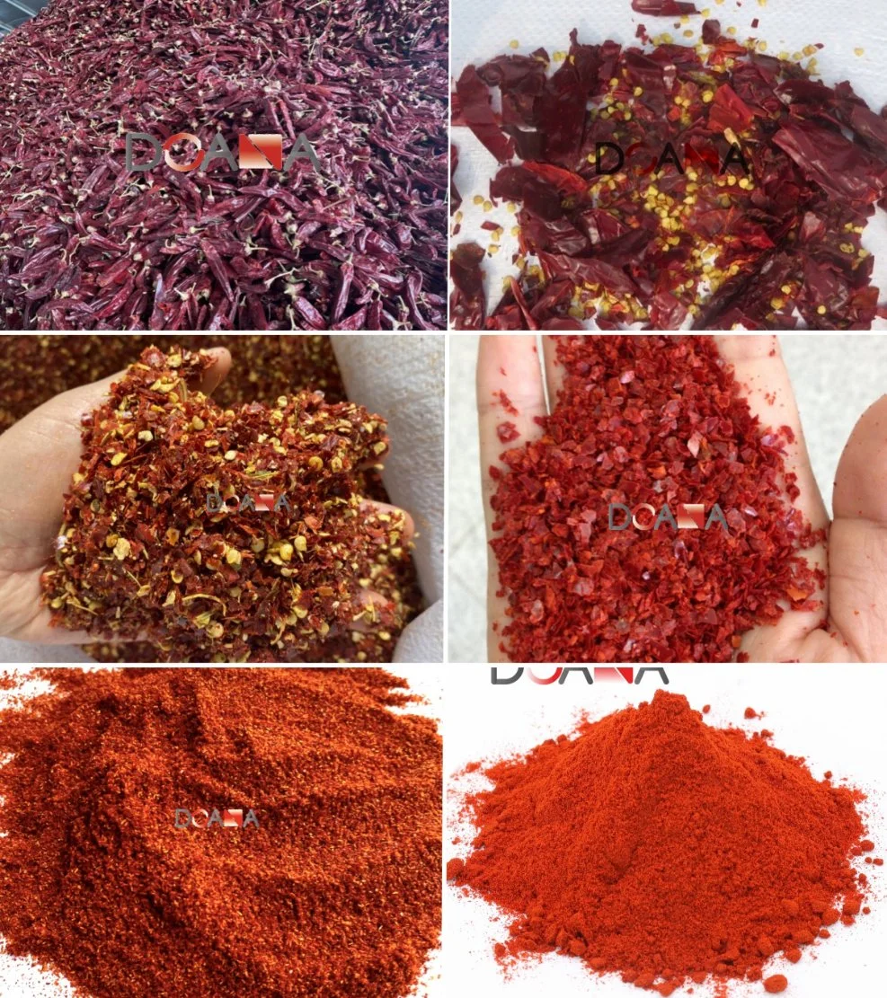 Chinese Origin 60mesh 20000shu Dried Red Hot Chilli Powder