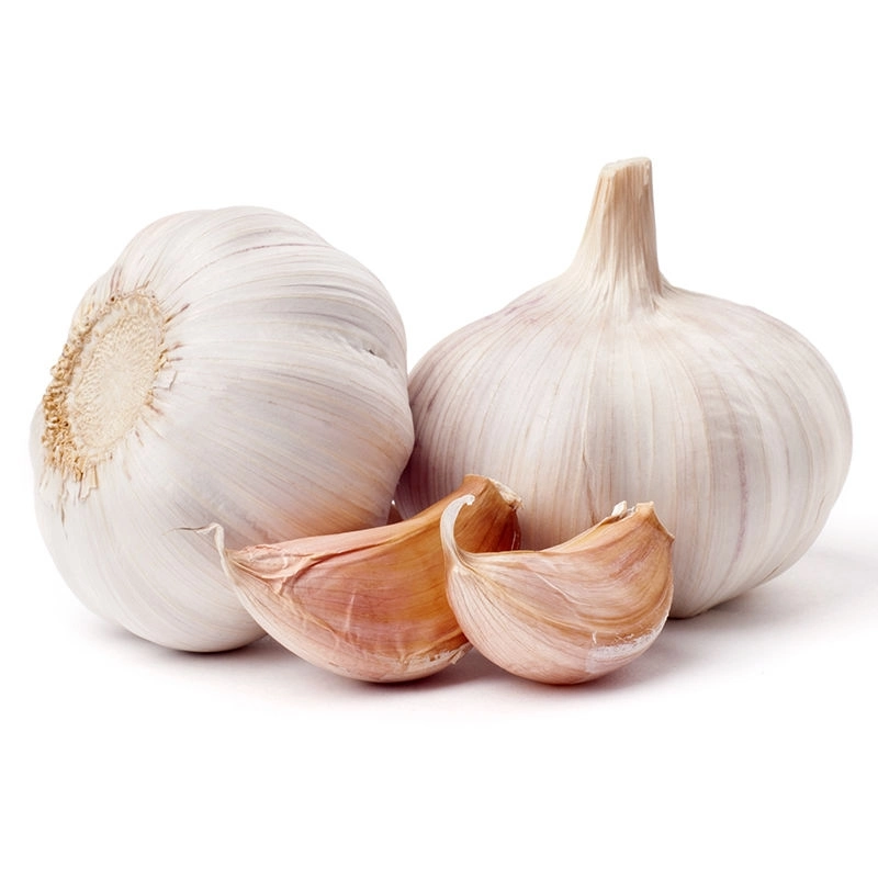 China/Chinese Best Fresh Natural Garlic Price - New Crop, Hot Sales/Dehydrated Garlic /Frozen Garlic /Fried Garlic