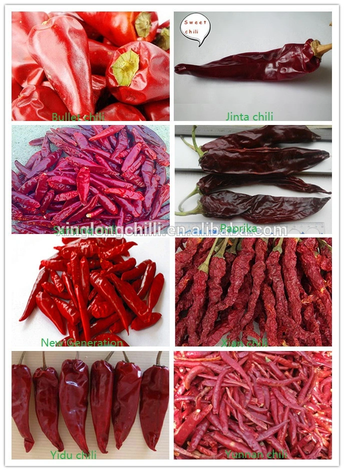 Factory Price Dried Red Sweet Paprika Chili Powder in Different Asta Specification