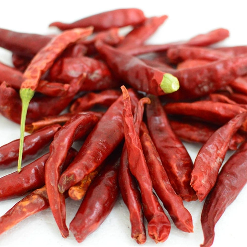 Peperoncino piccante Peperoncino di Caienna all'ingrosso a prezzi economici