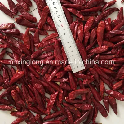 5 libbre di peperoncino piccante essiccato 10000 Scoville, pepe di cayenna essiccato, 12% di umidità