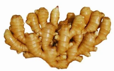 Zenzero essiccato biologico New Harvest Fresh Ginger dalla Cina