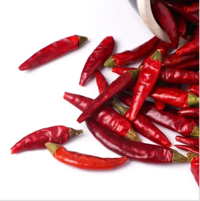 Peperoncino essiccato all'ingrosso, peperoncino, capsicum frutescens essiccato per spezie